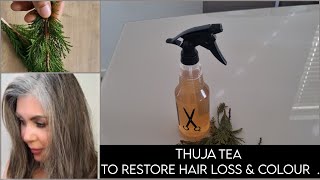 How To Use Homeopathic medicine Thuja Occidentallis For Alopecia areata  Stop Hair Loss Regrow Hair  YouTube