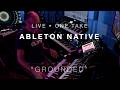 Stock Ableton &amp; Polybrute Ambient Improv — “Grounded” (live, one take, no talking)