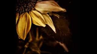 Hamasaki Ayumi - Fated