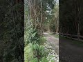 Parque Los Canelos: Linda Parcela Con Casa, Cabaña Y Bodega