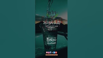 فقلت استغفروا ربكم إنه كان غفاراً.. #فارس_عباد #سورة_نوح #ريحانة_قرآن #تلاوات #قرآن #ستوريات #quran