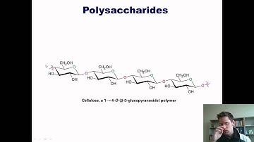 Chapter 22 – Carbohydrate Chemistry: Part 3 of 3