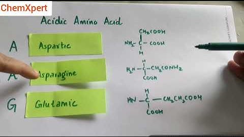 Trick to learn Amino Acids Structures| Biomolecules
