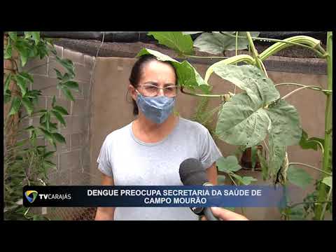 Dengue preocupa Secretaria de Saúde de Campo Mourão