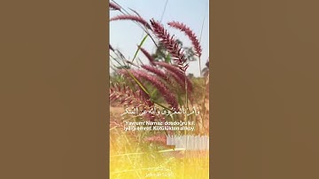 يابني اقم الصلاة وامر بالمعروف وانه عن المنكر | سورة لقمان ماهر المعيقلي♥️ 🔕