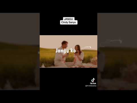 Cindy Sanyu JANGU Lyrics Video