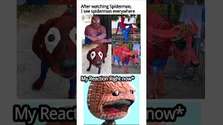 I see Spiderman everywhere