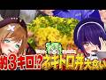 【大食い/実写】恐るべしネギトロ・・・