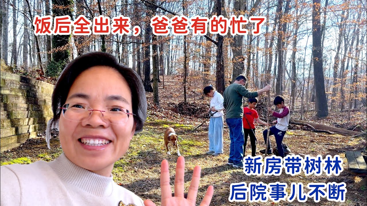 北卡新房带树林，后院事不断，大过节吃完早饭，全家人跑出来，爸爸又有的忙了