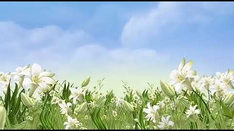 القارئ احمد ربيعي سورة الملك