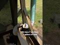 Update- Simple Automated Self Chicken Feeder
