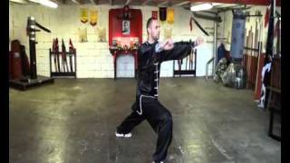 Yang Taiji Quan 8 Steps, 24 Steps, Tuishou And Figthing Applications.