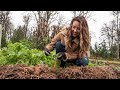 This Keeps Vegetables Fresh All Winter | Raising a Year's Worth of Food | No Heat or Row Covers