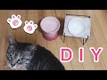 ＤＩＹと新しいお皿【猫用品】LE CREUSET