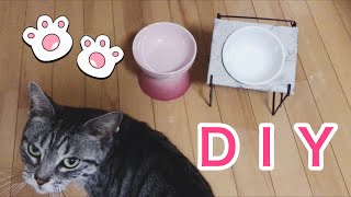 ＤＩＹと新しいお皿【猫用品】LE CREUSET