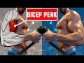 5 Bicep Peak Exercises For BIGGER/TALLER Arms!