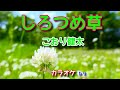 新曲『しろつめ草』こおり健太さん/カラオケ♭1