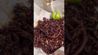 Mexican street food gets wild🪳#unusualfoods #streetfood #mexico