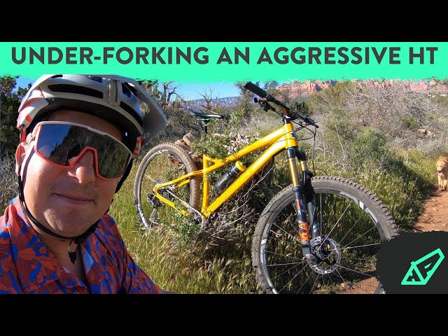 bike helmet paradox Adult – Guardian Bikes® Most importantly Here is a new graphics