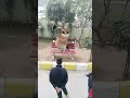 APT APT APT Sound dance owl fun