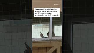 Σε κρίσιμη κατάσταση ο Α. Χαντζής -  - Συγκέντρωση αλληλεγγύης στο «Γ. Γεννηματάς» | NEWS 24/7