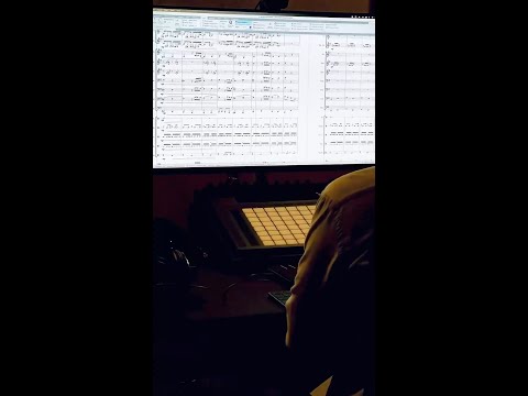 🎼 Arranging timelapse 📹 Ricardo Vieira