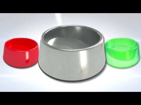 robert-m-stovall-tilted-pet-bowl