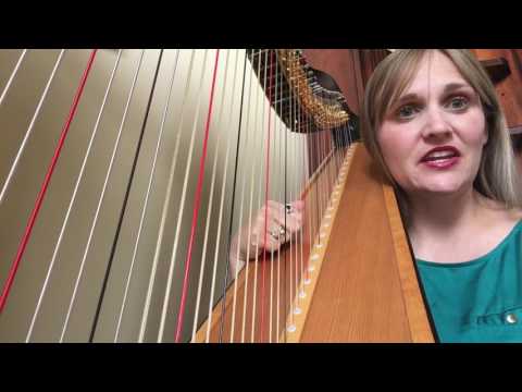 Memory from the musical Cats by Andrew Lloyd Webber (Harp Cover)