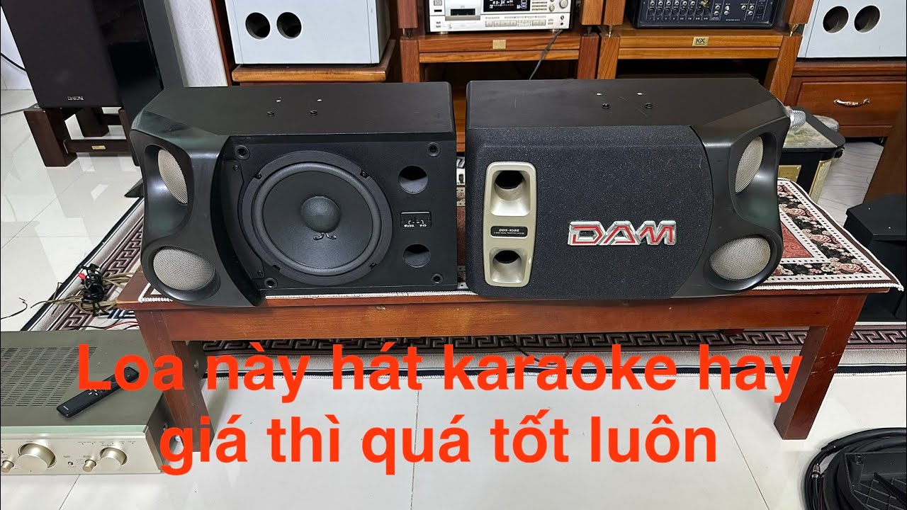 DAMスピーカーDDS950Ⅱ DAM DDS-950ii Speakers, great for karaoke and music, beautiful