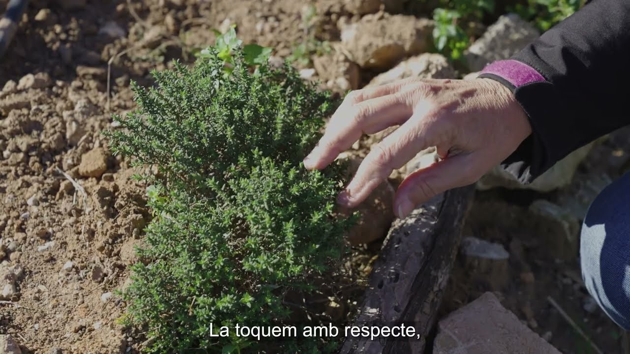 Como la tierra #VocesRurales