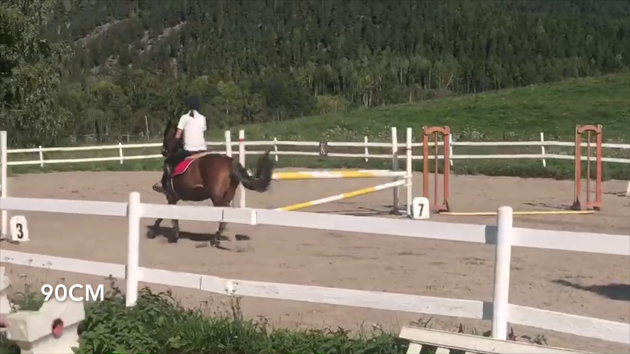 Pay And Jump 26 08 18 YouTube