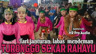 Full janturan,Tarian labas mendem, Ebeg Turonggo sekar rahayu Live pagedongan || TM officiall