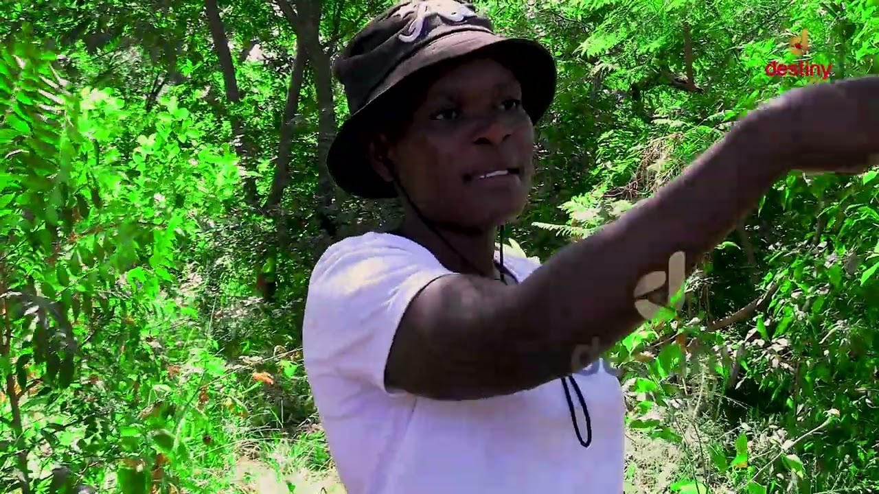 Shamva: N'anga yaBoss vemufi yowanikwa iine ropa nezvinhu zvemushakabvu paguva