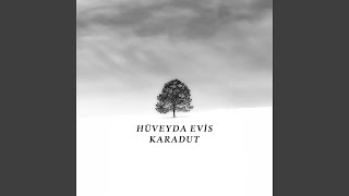 Hani Benim Gençliğim - Hüveyda Evis