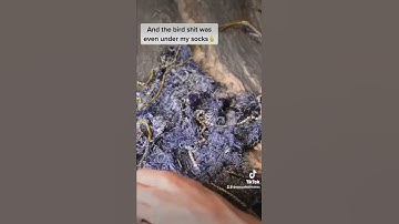 Avant Apocalypse: Making Zero Waste Fabric