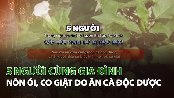 5 Người cùng gia đình nôn ói, co giật do ăn Cà Độc Dược| VTC14