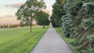 Alright, This Walk Is Better Than It Looks