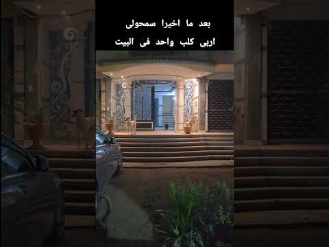 بعد ما سمحولي اربي كلب في البيت اكسبلور Mypet كلاب Myanimal ضحك Mydog ترند