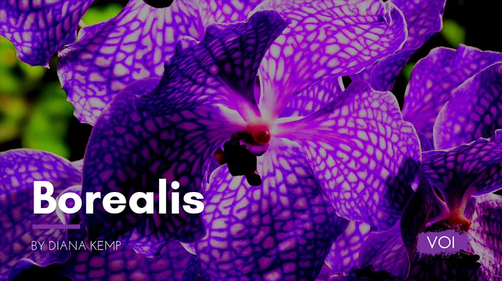 Borealis by Diana Kemp - A Voices of Imagination S...