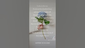 Thumbnail of Matthew 18:12-14 (MSG) #letsreadthegospels #anniefdowns #readingscripture #bibleverses #themessage