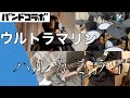 ウルトラマリン / ハルカミライ  【バンドコラボ】