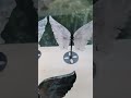 Big size butterfly