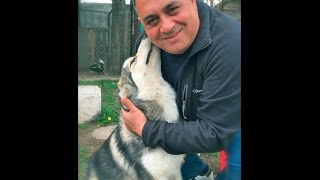 Девочке из Копейска подарили щенка хаски от имени Владимира Путина Девочке из Копейска подарили щенка хаски от имени Владимира Путина
