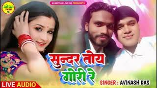 Sundar Toy Gori Re !! Avinash Das !! Khortha Program 2015 !! Live Audio Recording Song