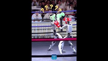 Robot hình người đấu võ tại Triển lãm Công nghiệp Thông minh Thế giới 2025