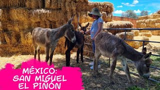 Santuario de Burritos | Viaje en Tlaxcala