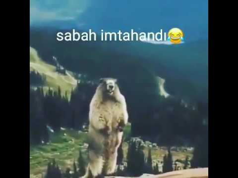Sabah imtahandi