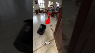 Download Lagu What's Up With the Trash Box #shorts #viralvideo MP3