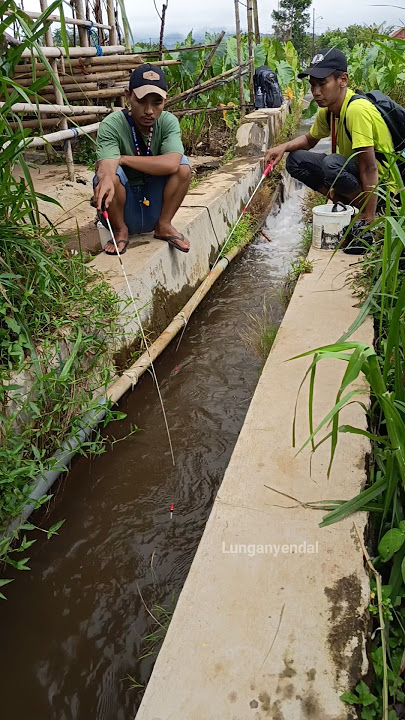 Just a quick glance and then it was immediately grabbed