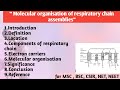 Molecular organisation of Respiratory chain assemblies | Location | Components | Significance 